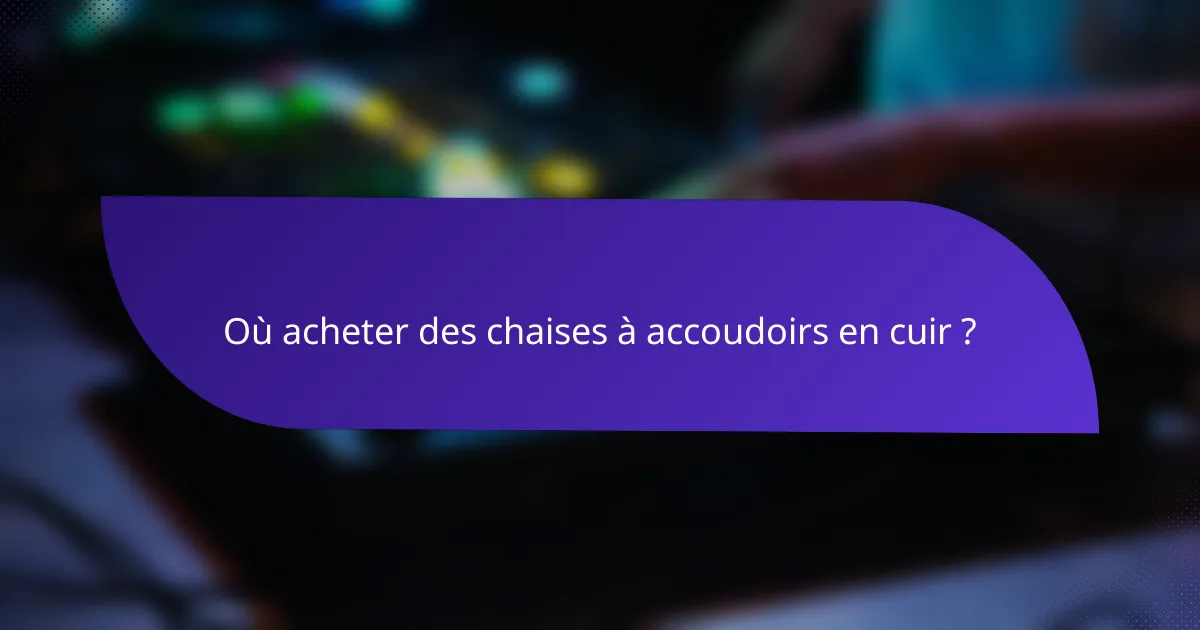 Où acheter des chaises à accoudoirs en cuir ?