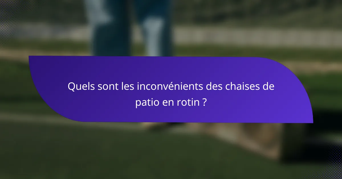 Quels sont les inconvénients des chaises de patio en rotin ?